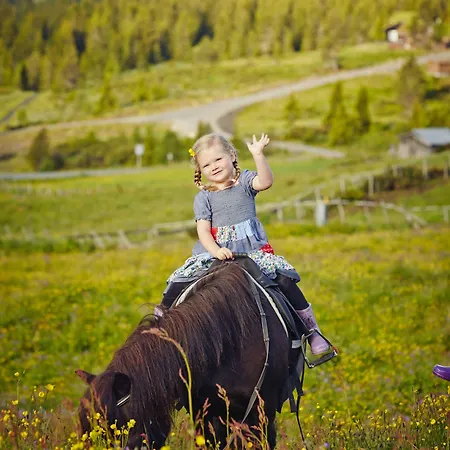Storefjell 4*