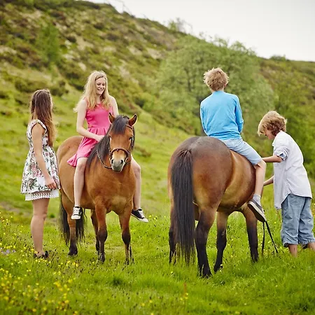 Storefjell 4*