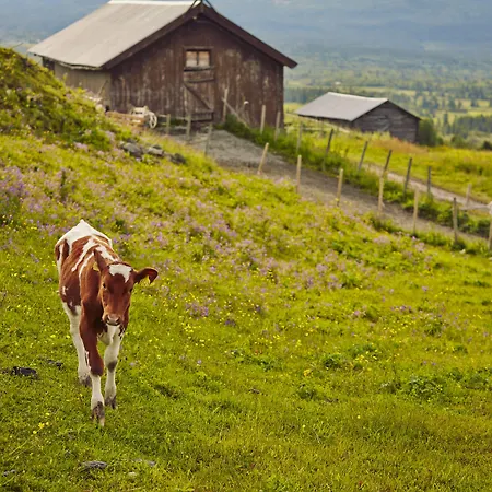 Storefjell 호텔 골