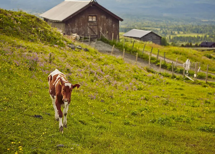 Storefjell Hotel Gol
